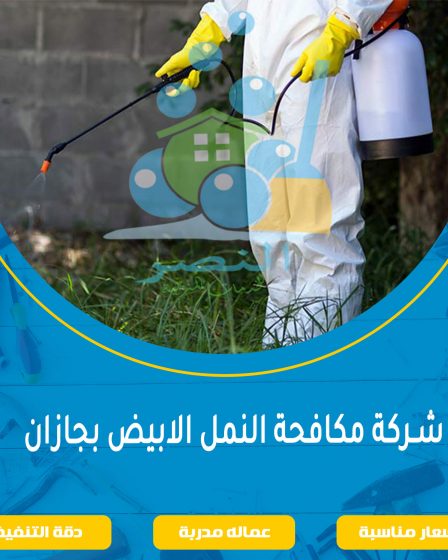 شركة مكافحة النمل الابيض بجازان
