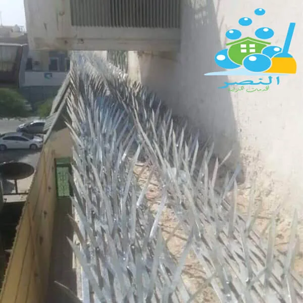  تركيب طارد الحمام بجازان