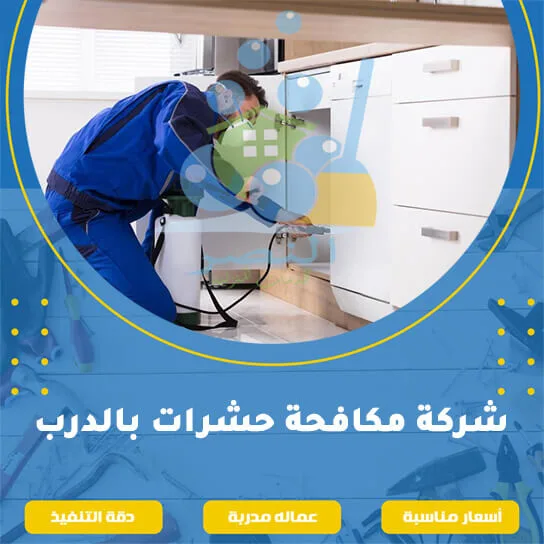 شركة مكافحة حشرات بالدرب