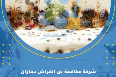 شركة مكافحة بق الفراش بجازان