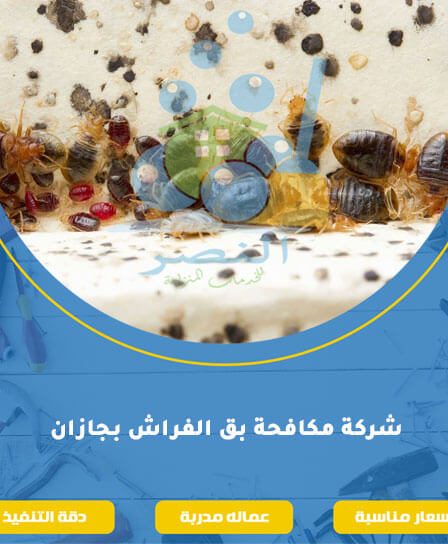 شركة مكافحة بق الفراش بجازان