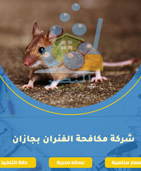 شركة مكافحة الفئران بجازان