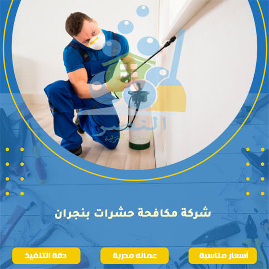 شركة مكافحة حشرات بنجران - خدمات متكاملة لمواجهة الآفات