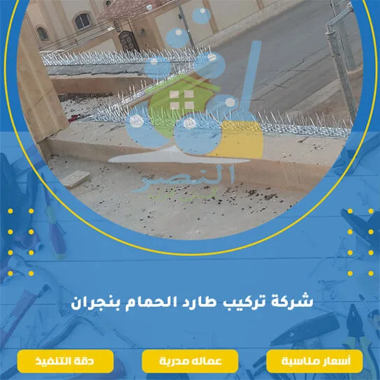 شركة تركيب طارد الحمام بنجران