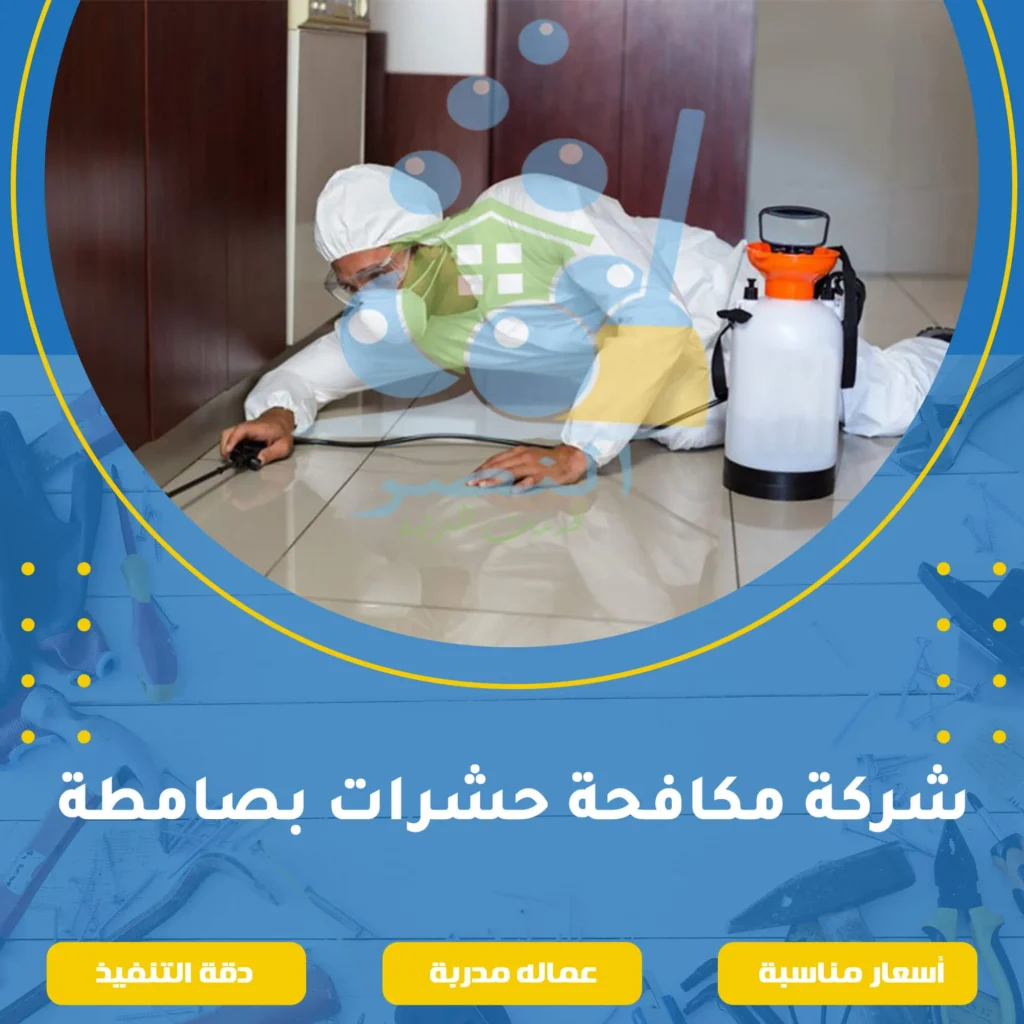 شركة مكافحة حشرات بصامطة